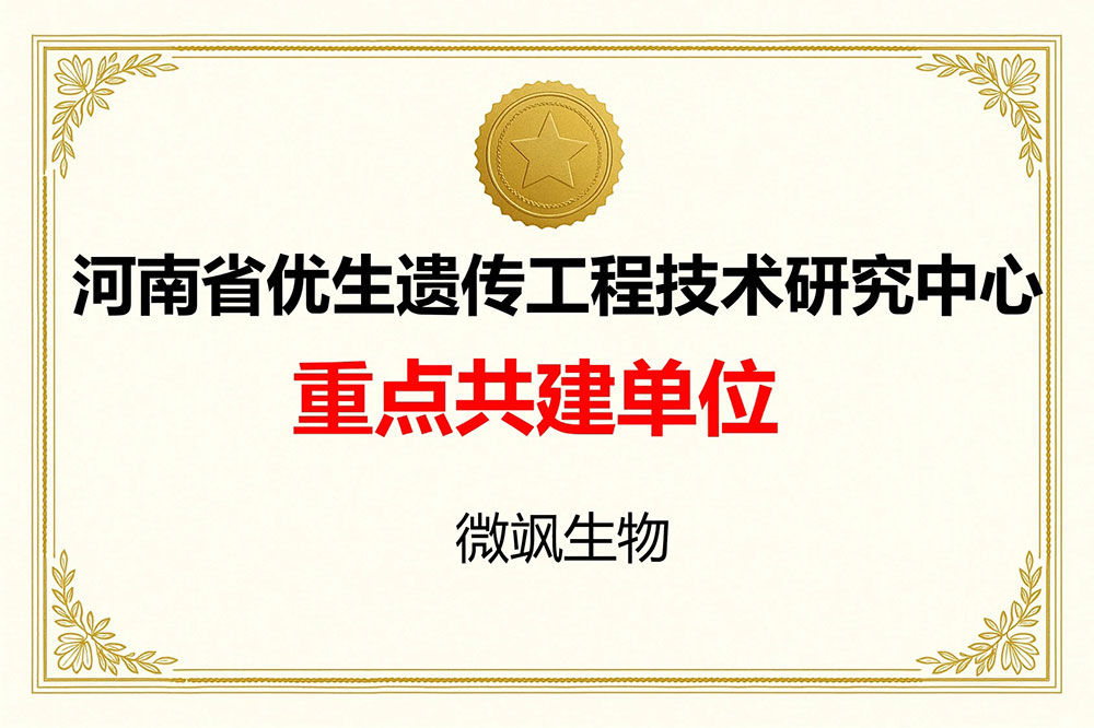 资质证书1