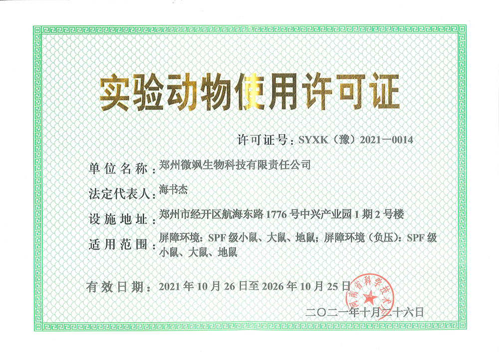 资质证书5